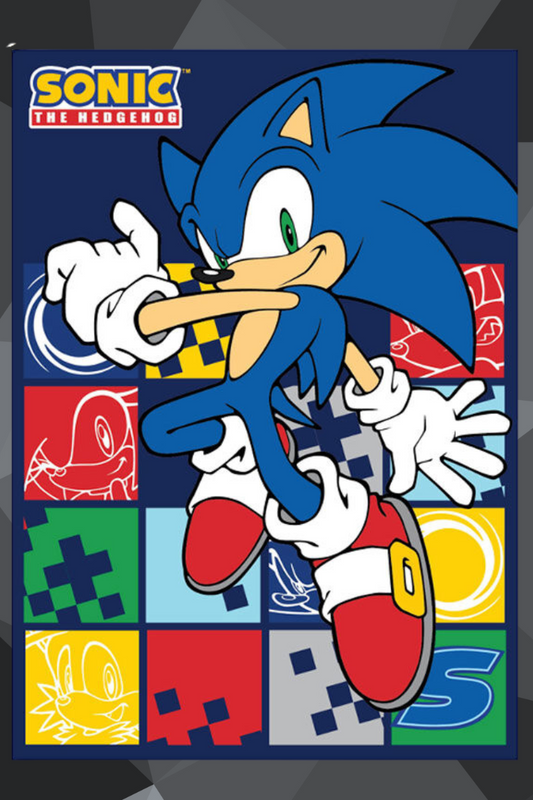 Sonic The Hedgehog in Action Manta polar