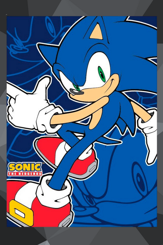 Sonic The Hedgehog Manta polar