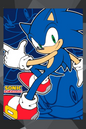 Sonic The Hedgehog Manta polar
